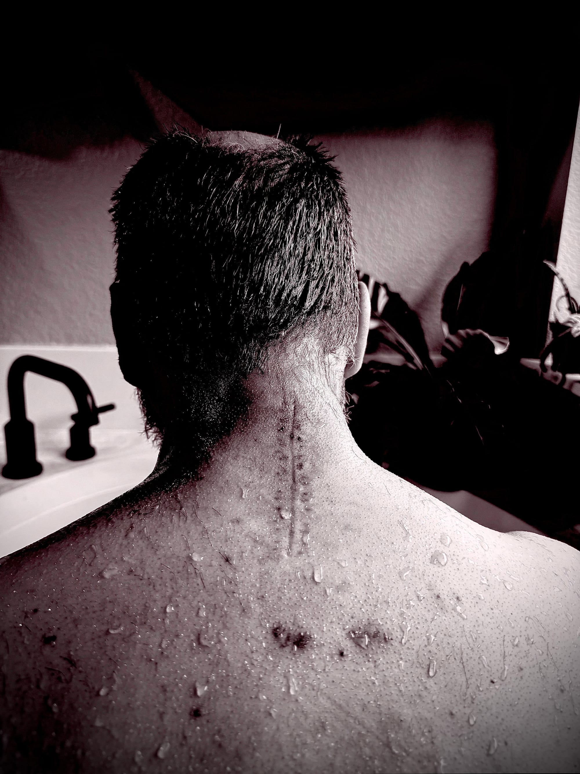 Revise, Transform and Evolve