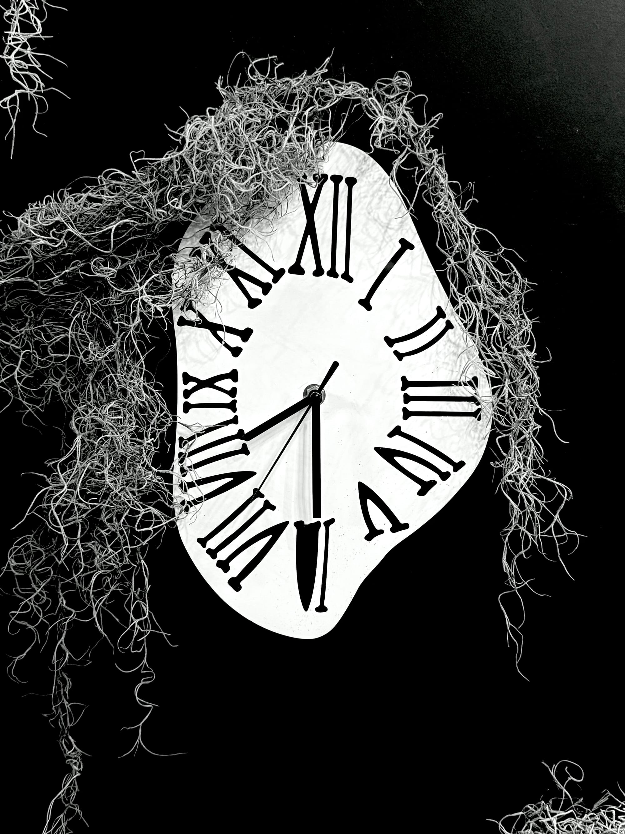 January and February Ambience