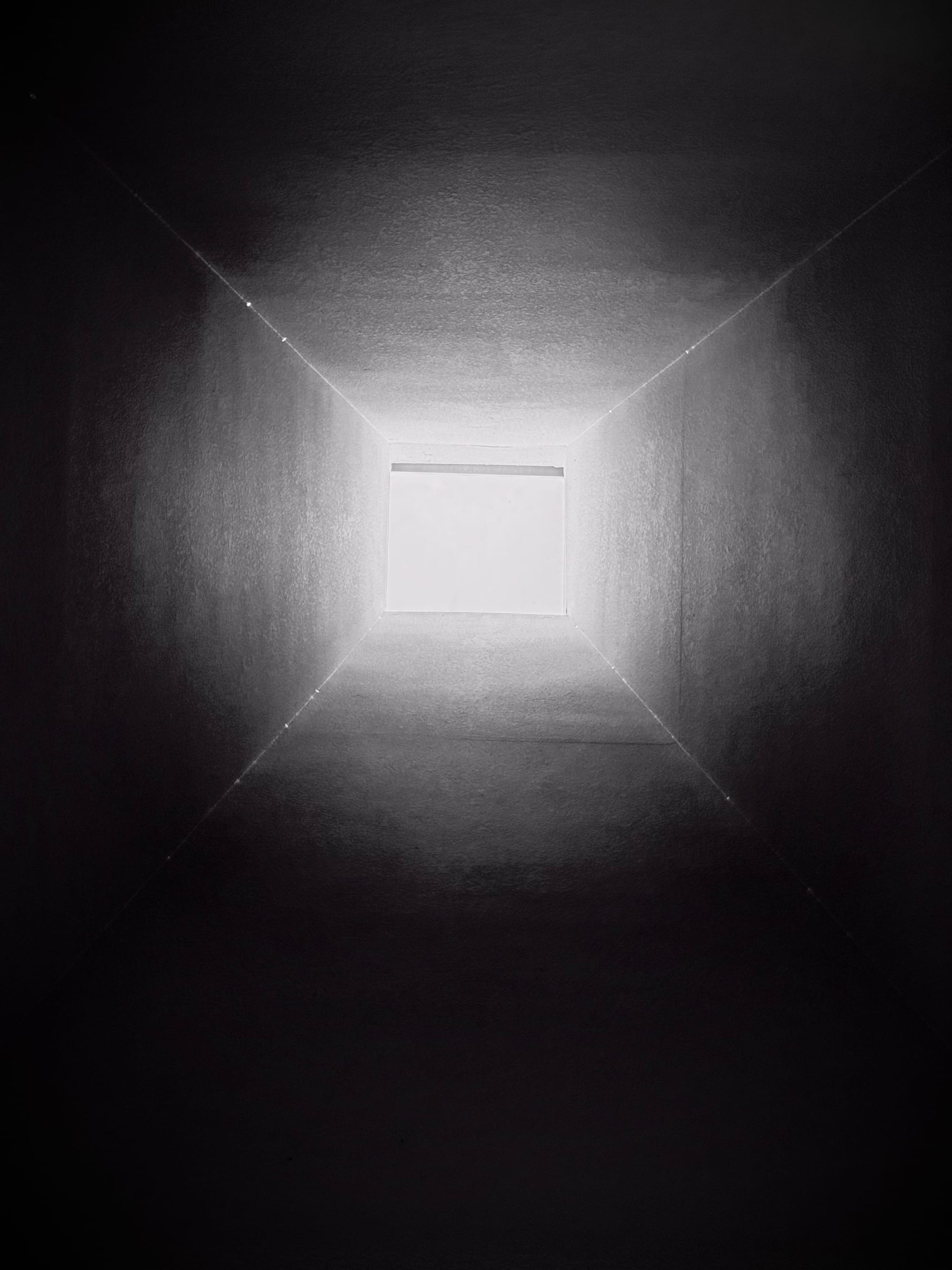 September 2026 Ambience