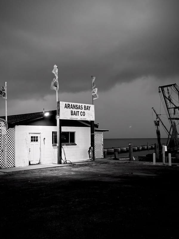 Bandcamp Reviews: Andrew Tuttle and Padang Food Tigers
