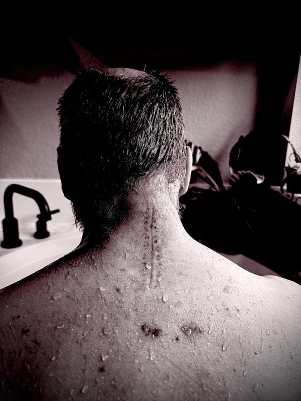 Revise, Transform and Evolve